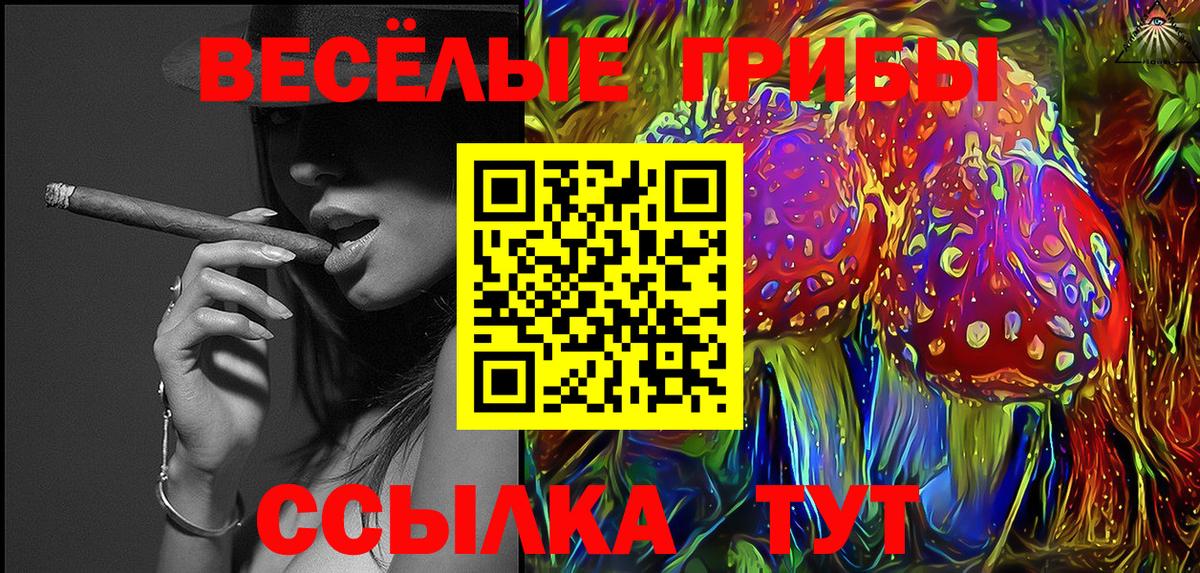 Галлюциногенные грибы Psilocybine cubensis  Вход с VPN  Осинники 
